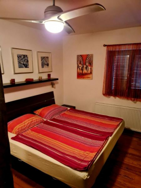 Puntina rooms